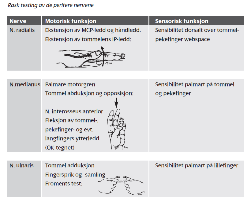 S rskader Oslo Skadelegevakt Metodebok I Skadebehandling s-rskader-oslo-skadelegevakt-metodebok-i-skadebehandling